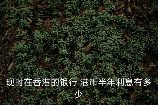 现时在香港的银行 港币半年利息有多少