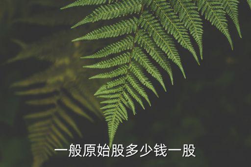 一般原始股多少钱一股