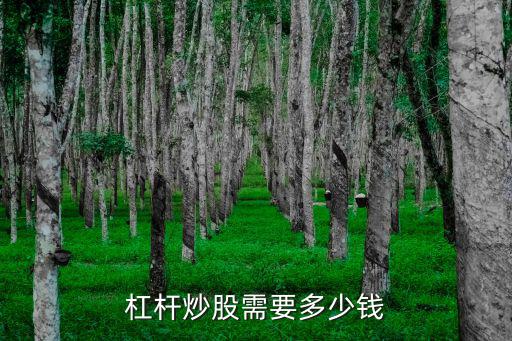 杠杆炒股需要多少钱