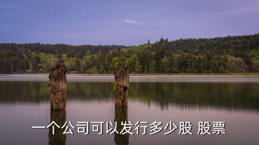 一个公司可以发行多少股 股票