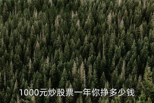 1000元炒股票一年你挣多少钱