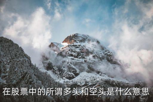 在股票中的所谓多头和空头是什么意思