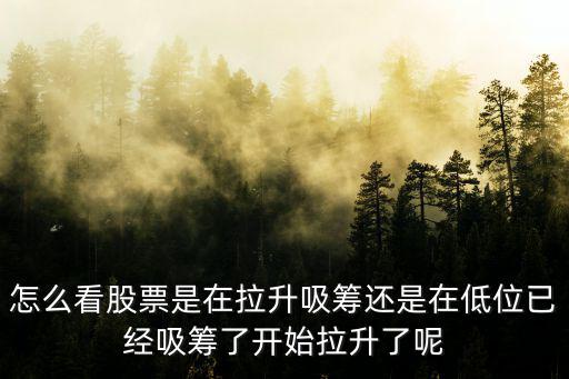 如何看股票持续拉升多少，股票怎么判断股票拉升信号后市涨不停不停涨 在