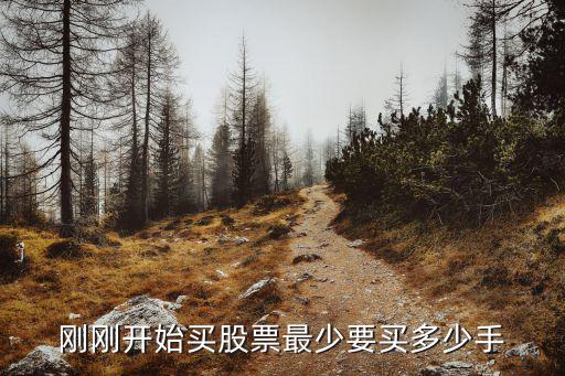 股票长期持有买多少手，股票里的一手是指多少股呢买一次最少要买多少手