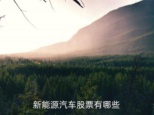 新能源汽车股票有哪些