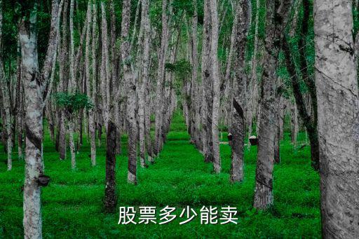 股票最少可以多少起卖，股票多少能卖