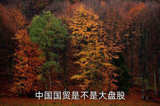 中国国贸是不是大盘股