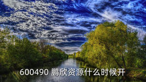股票鹏欣资源价格多少，股票鹏欣资源600490为什么会涨这么高