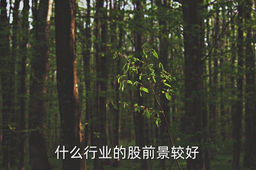 什么股票发展空间巨大，什么股票有发展