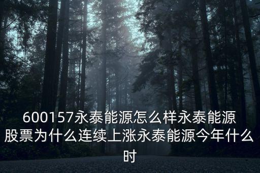 永泰股票为什么涨，永泰能源是什么性质的股票永泰能源为什么业绩爆涨永泰能源属于哪个公