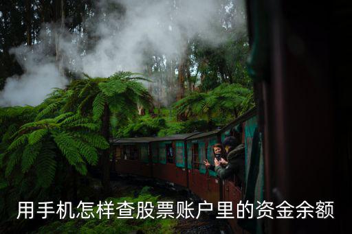 用手机怎样查股票账户里的资金余额