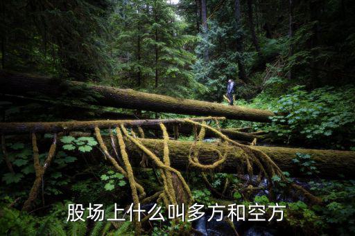 股场上什么叫多方和空方