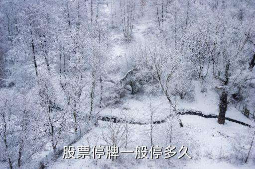 股票停牌一般停多久