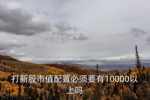 打新股市值配置必须要有10000以上吗