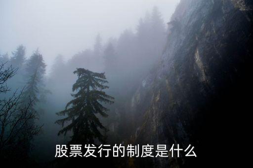股票发行的制度是什么
