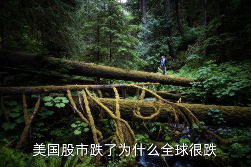 美国股市跌了为什么全球很跌