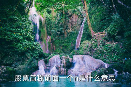 股票简称前面一个n是什么意思