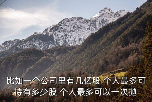 比如一个公司里有几亿股 个人最多可持有多少股 个人最多可以一次抛