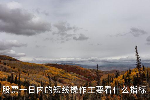 股票一日内的短线操作主要看什么指标