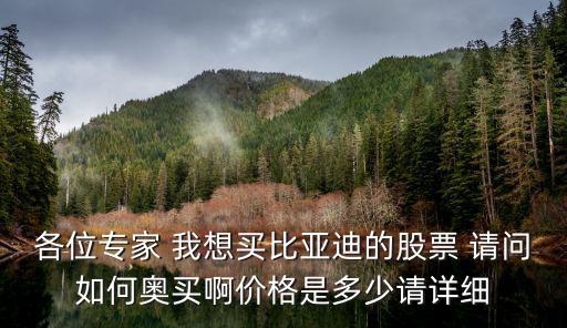 比亚迪股票账号是多少，各位专家 我想买比亚迪的股票 请问如何奥买啊价格是多少请详细