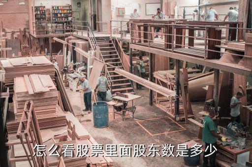 怎么看股票里面股东数是多少