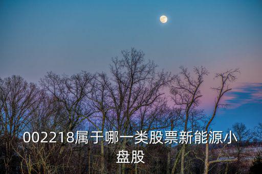 002218属于哪一类股票新能源小盘股