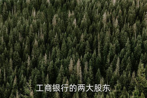 工行股票是什么股东，工商银行的两大股东