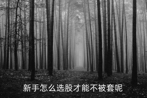 持有什么股票不会被套，新手怎么选股才能不被套呢