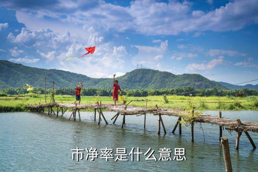 市净率是什么意思