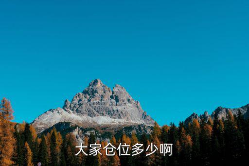 大家仓位多少啊