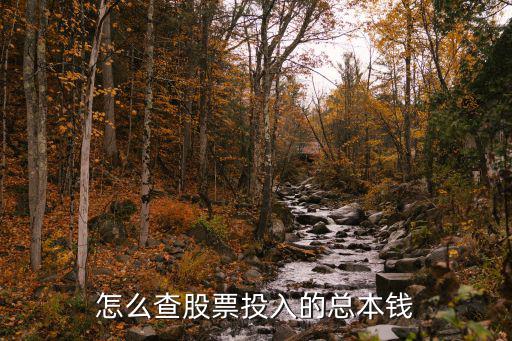 怎么查股票投入的总本钱