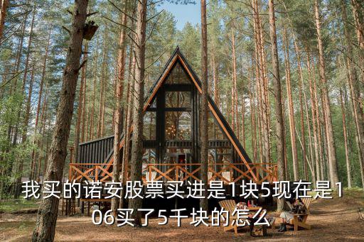 我买的诺安股票买进是1块5现在是106买了5千块的怎么