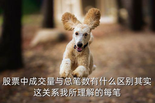 股票中成交量与总笔数有什么区别其实这关系我所理解的每笔