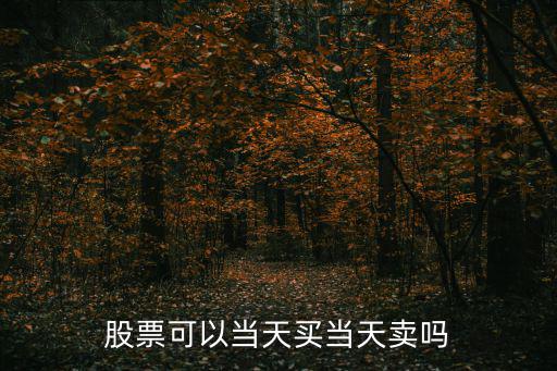 股票可以当天卖多少股，股票可以当天买当天卖吗