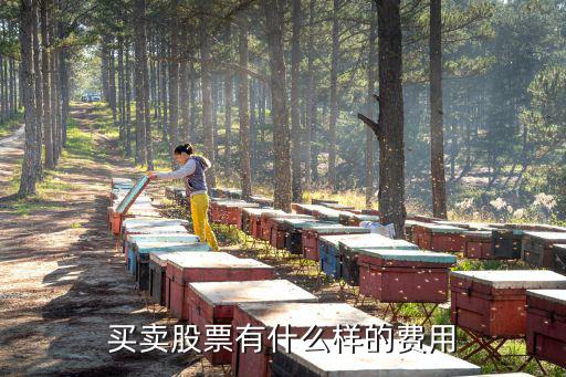 买卖股票有什么样的费用