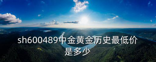 sh600489中金黄金历史最低价是多少
