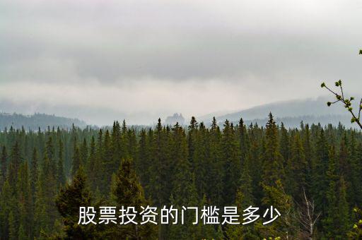 股票投资的门槛是多少