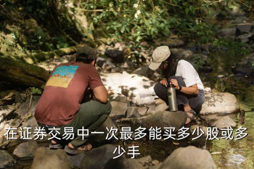 在证券交易中一次最多能买多少股或多少手