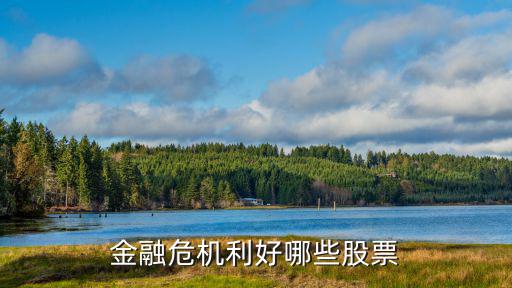 经营危机买什么股票，经济危机利好哪些股票