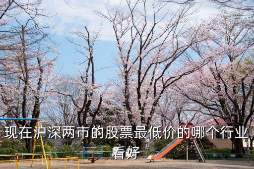 现在沪深两市的股票最低价的哪个行业看好