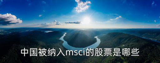 目前外资买什么股票，中国被纳入msci的股票是哪些