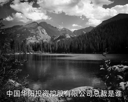华阳集团股票多少钱，中国华阳投资控股有限公司股票好吗