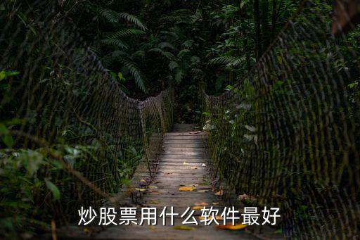 炒股票用什么软件最好