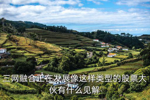 广电上市利好什么股票，三网融合正在发展像这样类型的股票大伙有什么见解