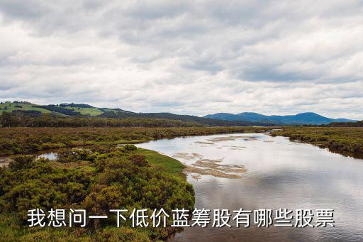 我想问一下低价蓝筹股有哪些股票