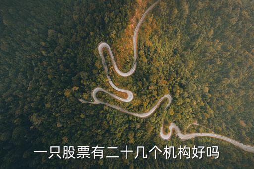 股票里共有多少机构，国内有多少家股票证券机构