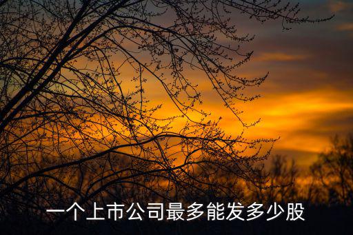 一个上市公司最多能发多少股