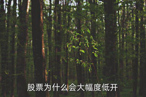 股票为什么会大幅度低开