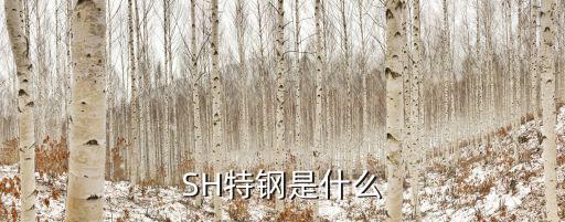 上海钢铁股票叫什么，SH特钢是什么