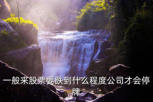 一般来股票要跌到什么程度公司才会停牌